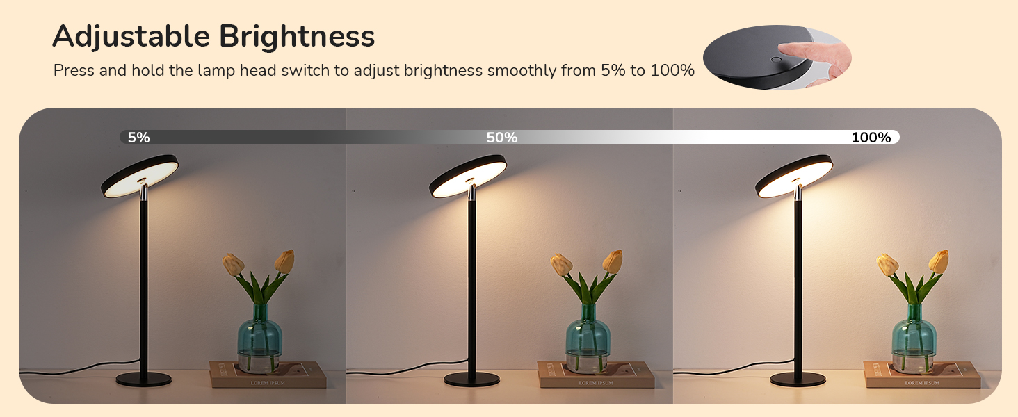 Adjustable Brightness