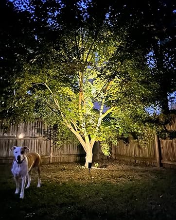 spot lights outdoor