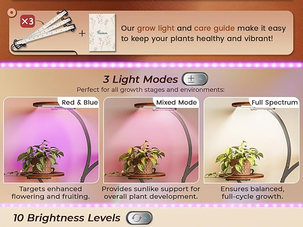 PLANT RACK