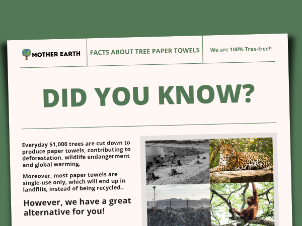 PAPER TOWELS 2 022323