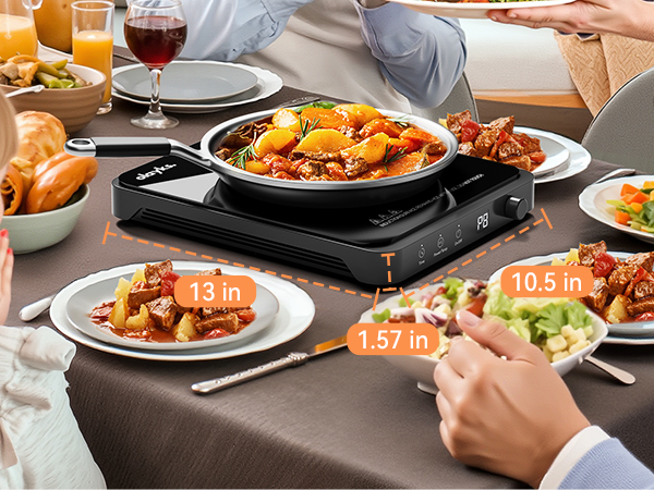 portable induction burner