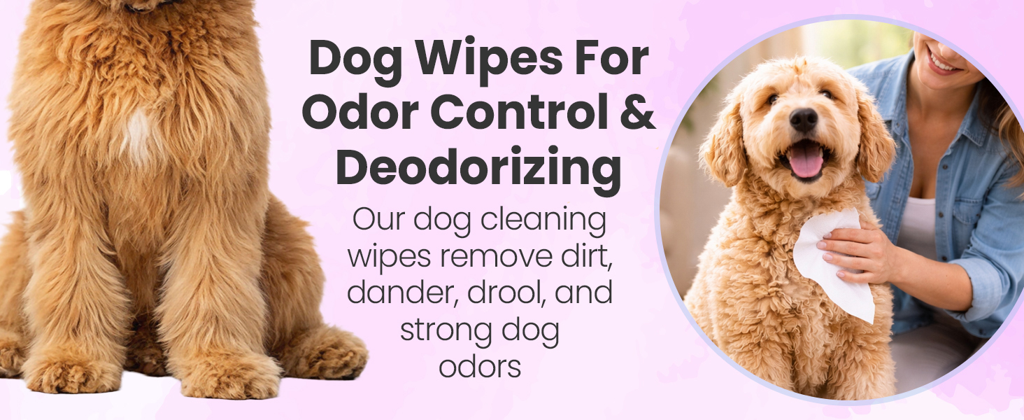 Best dog wipes for sensitive skin and allergies