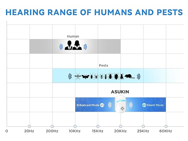 Functional upgrades in 2025