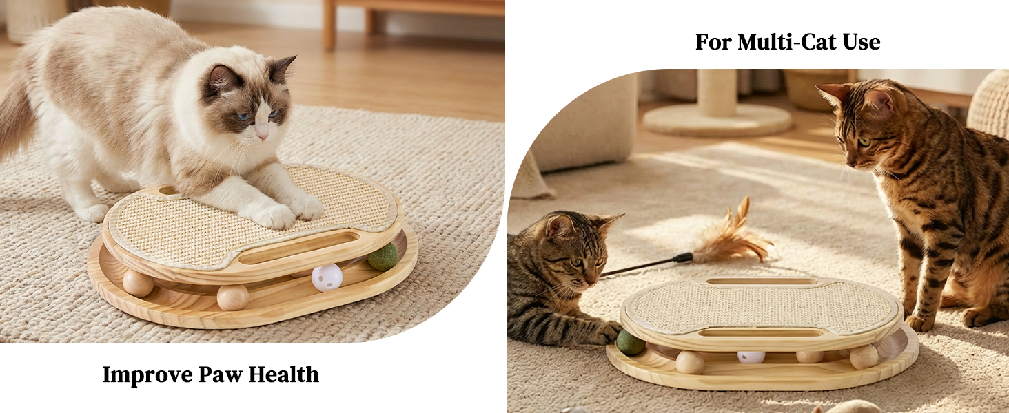 Cat Scratcher with Ball