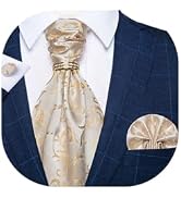 DiBanGu Paisley Ascot Ties for Men Silk Woven Cravat Tie and Pocket Square Cufflinks Set with Tie...