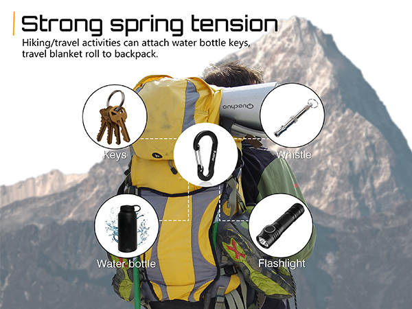 Carabiner Clips