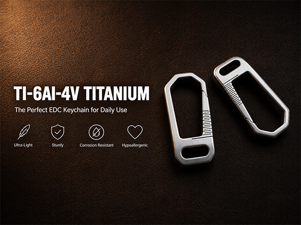 Titanium Carabiner Keychain
