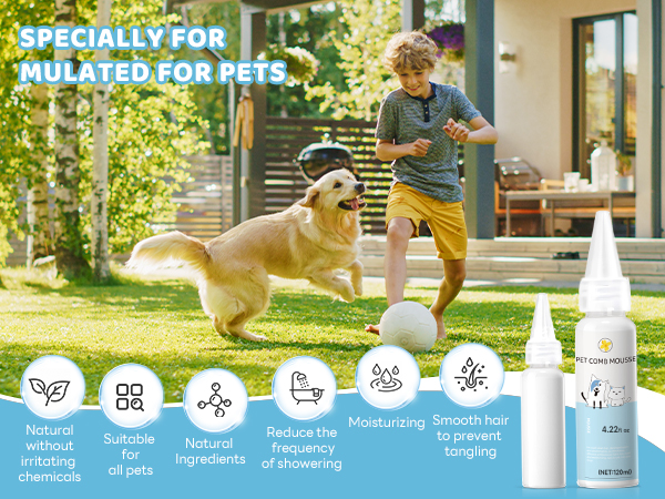 steam brush for dogs