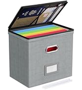 Oterri 1 Pack File Organizer Boxes with Lids, File Box with Mesh Pockets, Document Organizer Box ...