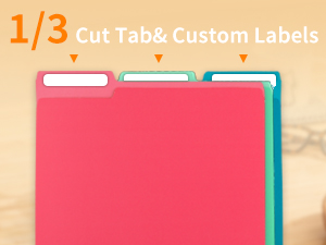 Colored File Folders