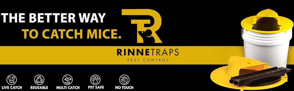 A+ Content Banner