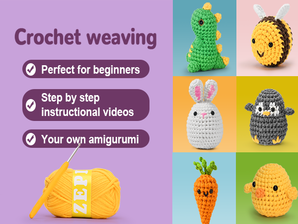 Crochet Kit for Beginners