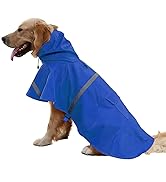 Large Dog Raincoat