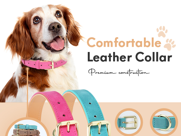 leather dog collar