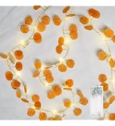 suddus Fake Vines with Eucalyptus Leaf String Lights, 6.56ft 20 LED Fairy Lights with Timer, Fall...