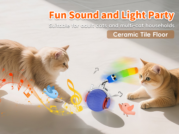 rolling cat toy