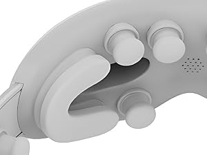 FSA