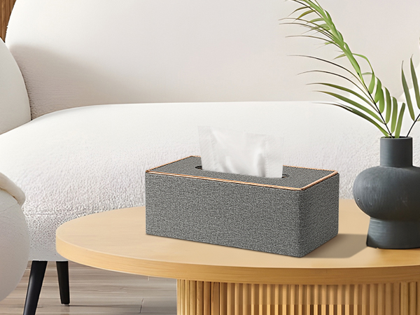 kleenexs box holder