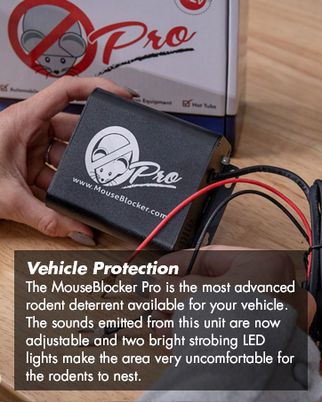Mouse Blocker Pro 12V Featured Image