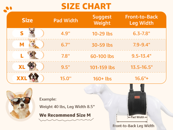dog lift harness