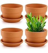 Suwimut 4 Pack Terracotta Pots with Saucer, 6 Inch Large Terra Cotta Plant Pot with Drainage Hole...