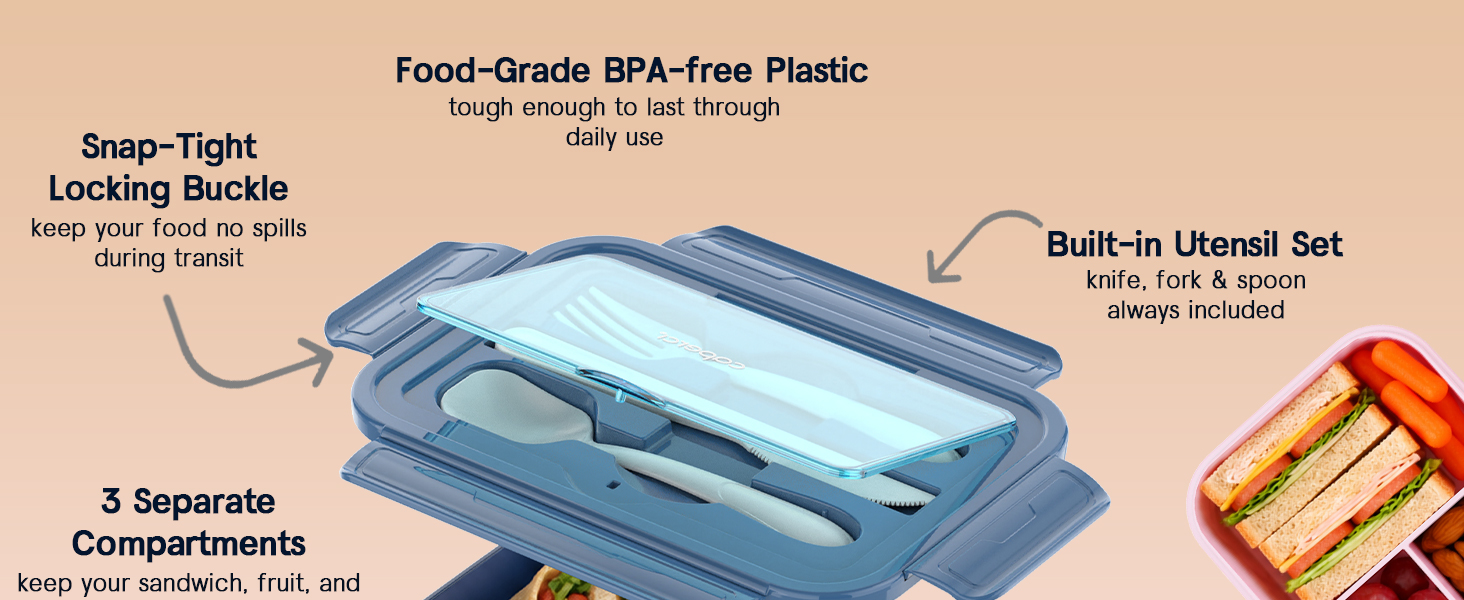 lunch box containers