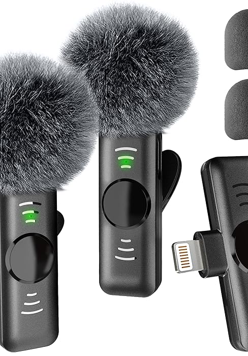 small microphone