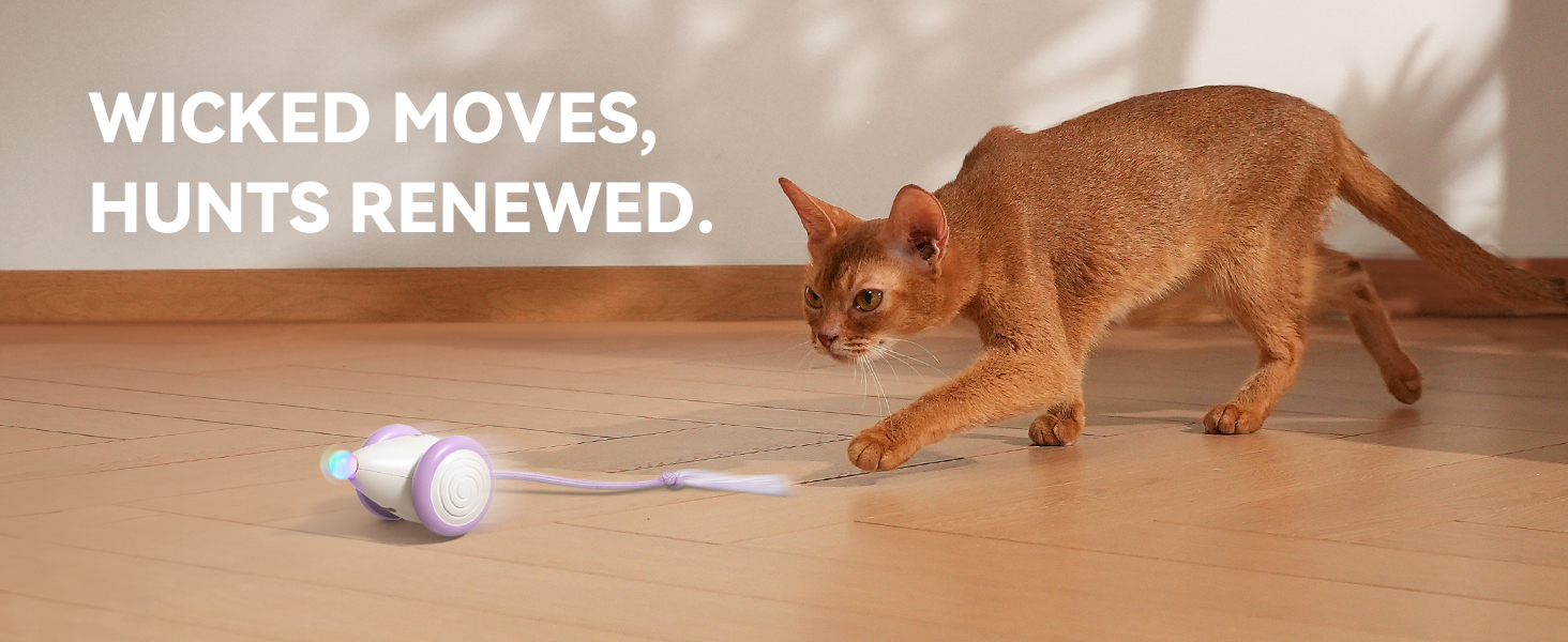 cat mouse toy
