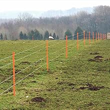 lamb fence