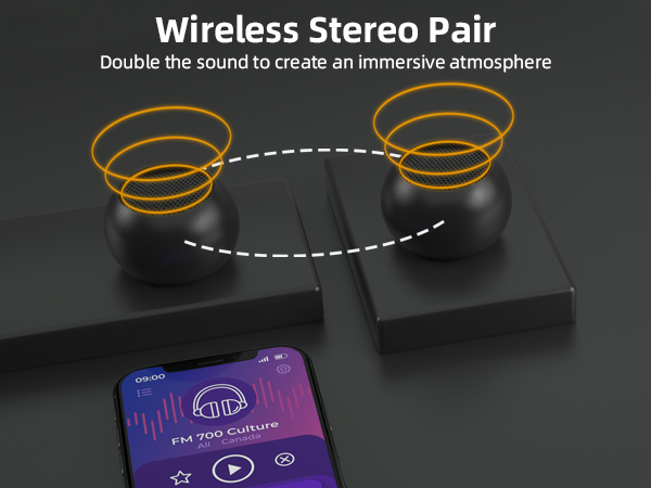 mini portable speaker