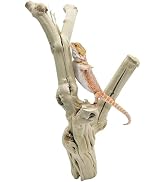 Apatal Reptile Branches for Climbing Natural Snake Climb Branch Extra Large Wood Forest Tree Trun...