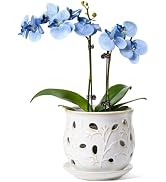 LE TAUCI Ceramic Orchid Pot, 6.5 Inch Orchid Planter with Holes for Repotting, Indoor Flower Plan...