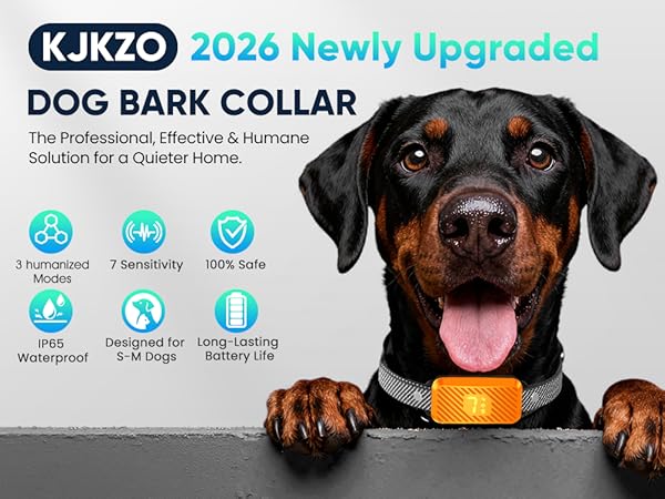 bark collar