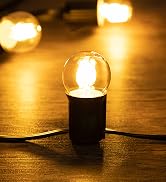 vintage led bulbs