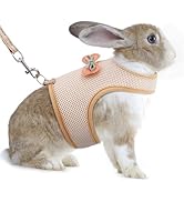 AIITLE Bunny Harness and Leash Set, Soft Breathable Mesh Vest Harness with Cute Bow for Rabbits K...
