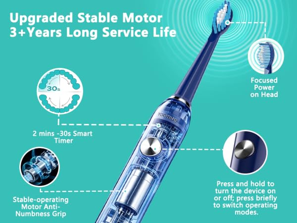 Text reads 'Upgraded Stable Motor 3+ Years Long Service Life', '2 mins~30s Smart Timer', 'Focused 3 mode on/off', 'Press and hold to turn device on or off, press briefly to switch between.' Electric toothbrush with feature indicators highlighting motor technology and operation modes.