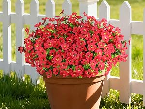 flowers red