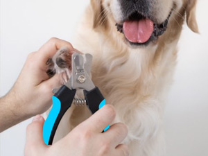 dog nail clippers for dark nail nail cutting dog nail clipper for dogs small