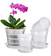 MYITYARD 6 Pack Orchid Pots Set, 2 Each of 4.3, 5.5 & 6.3 Inch Plant Pot with Drainage Holes and ...