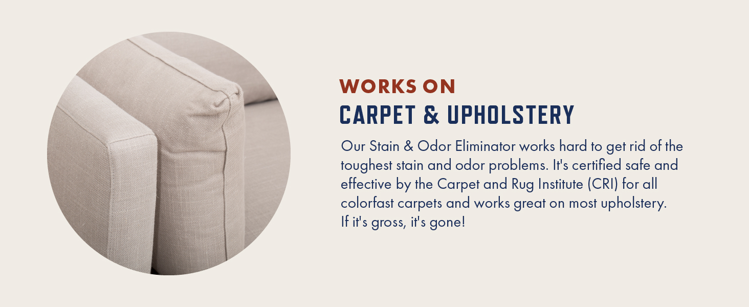 carpet upholstery cleaner