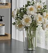 bathroom counter organizer