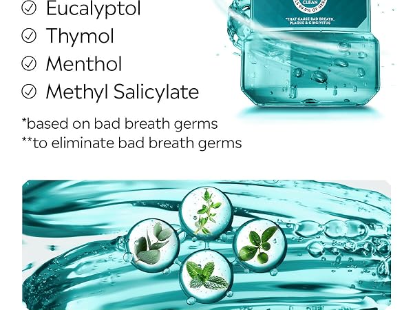 Listerine Cool Mint Antiseptic