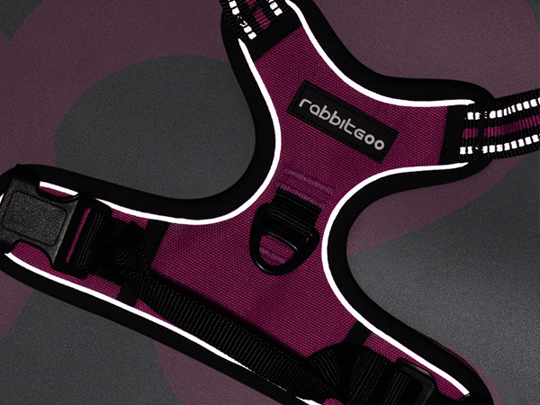 Classic dog harness