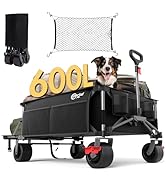 PORTAL 26