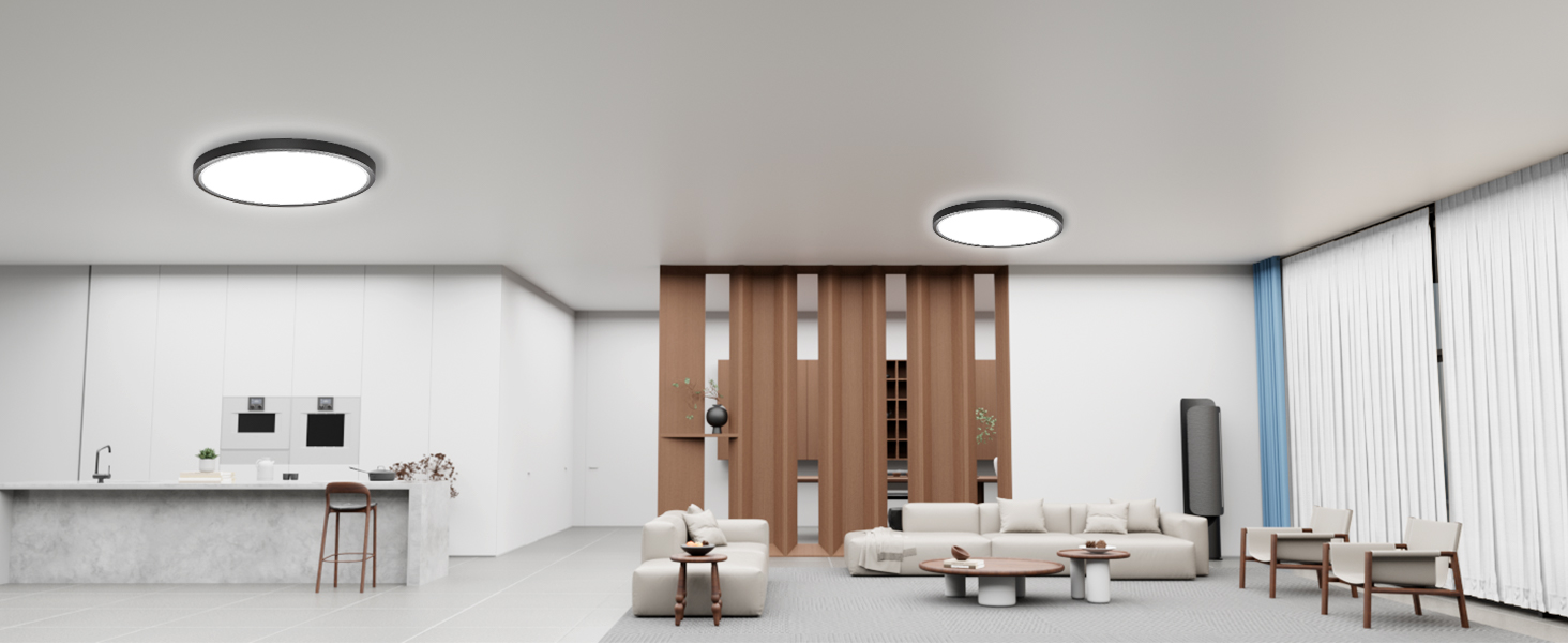 LED Ceiling Light