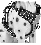 PoyPet No Pull Dog Harness, Reflective Comfortable Vest Harness with Front & Back 2 Leash Attachm...