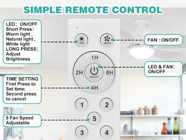 Socket Fan Light