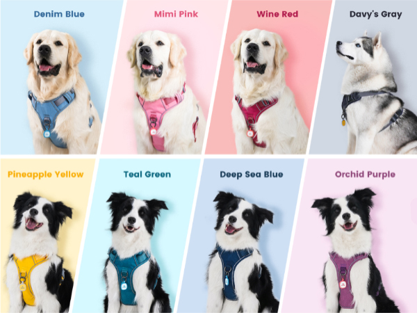 Pawaii Dog Harness