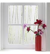 Finnez Window Film Privacy and Light Protection Sticker Film Frosted Look Static Cling for Home O...