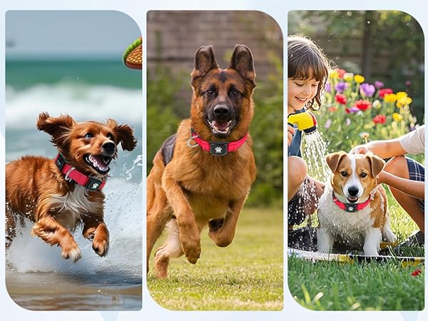 MYIWB Dog Tracking Collar for All Breeds, Waterproof, Durable, Multi-Scene Use